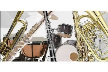 Avviso di alienazione di beni mobili di modico valore   (strumenti musicali) dell’ ex Banda Musicale di Montecrestese)